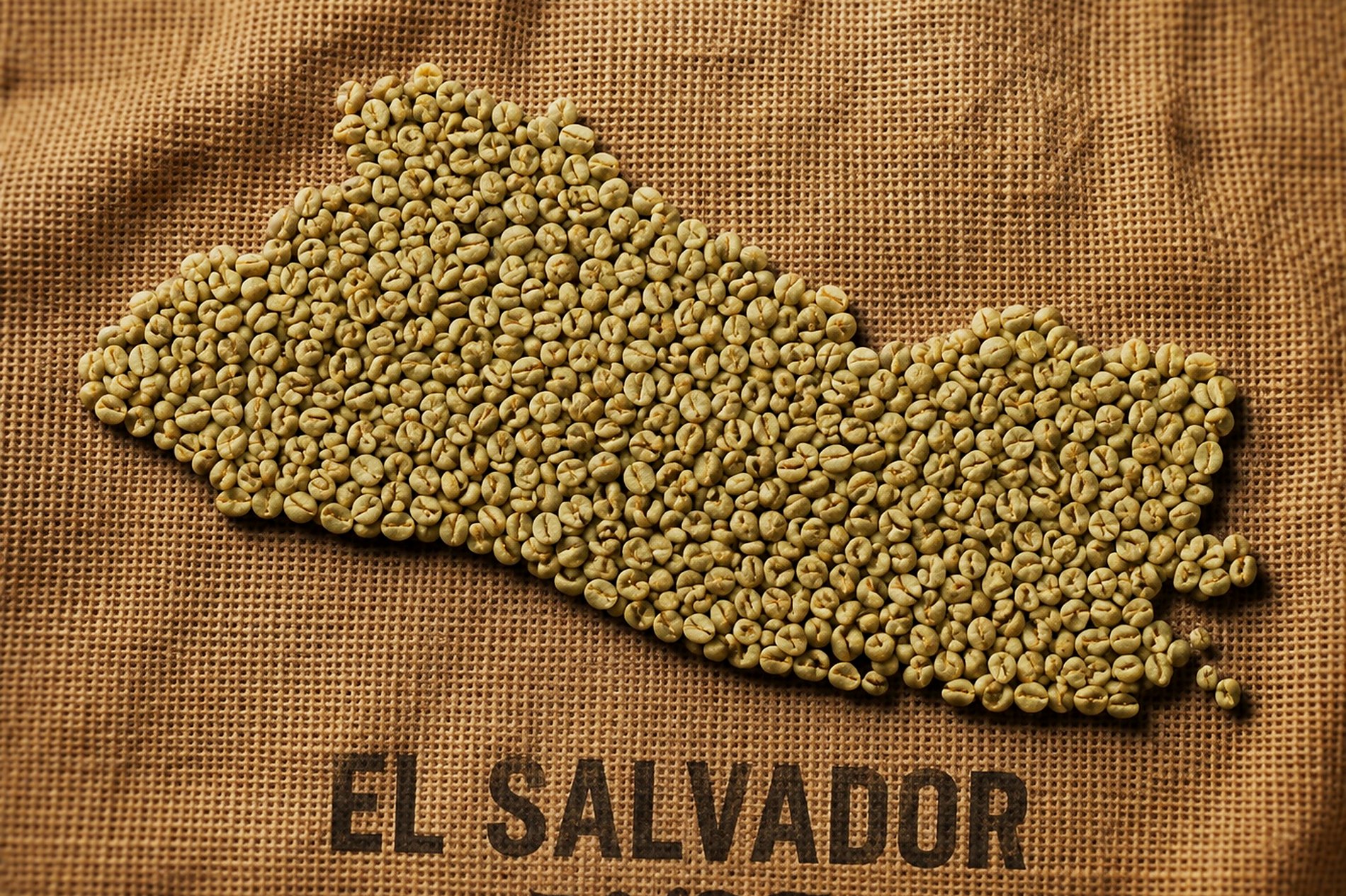 Map of El Salvador formed with green coffee beans on a jute export sack